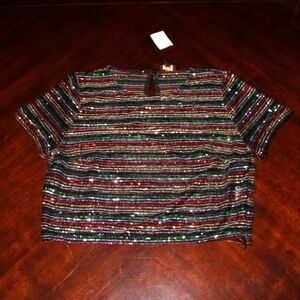 ✨ NWT Ont Wealth Sheer Glitter Stripe Top - Size L ✨